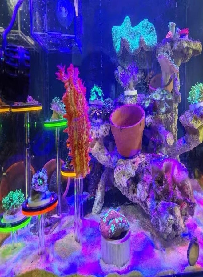 Saricho coral frag holer,Ring, set of six pillars with six round coral bases with legs, YGSHJ-XY6Z-1P - Image 4